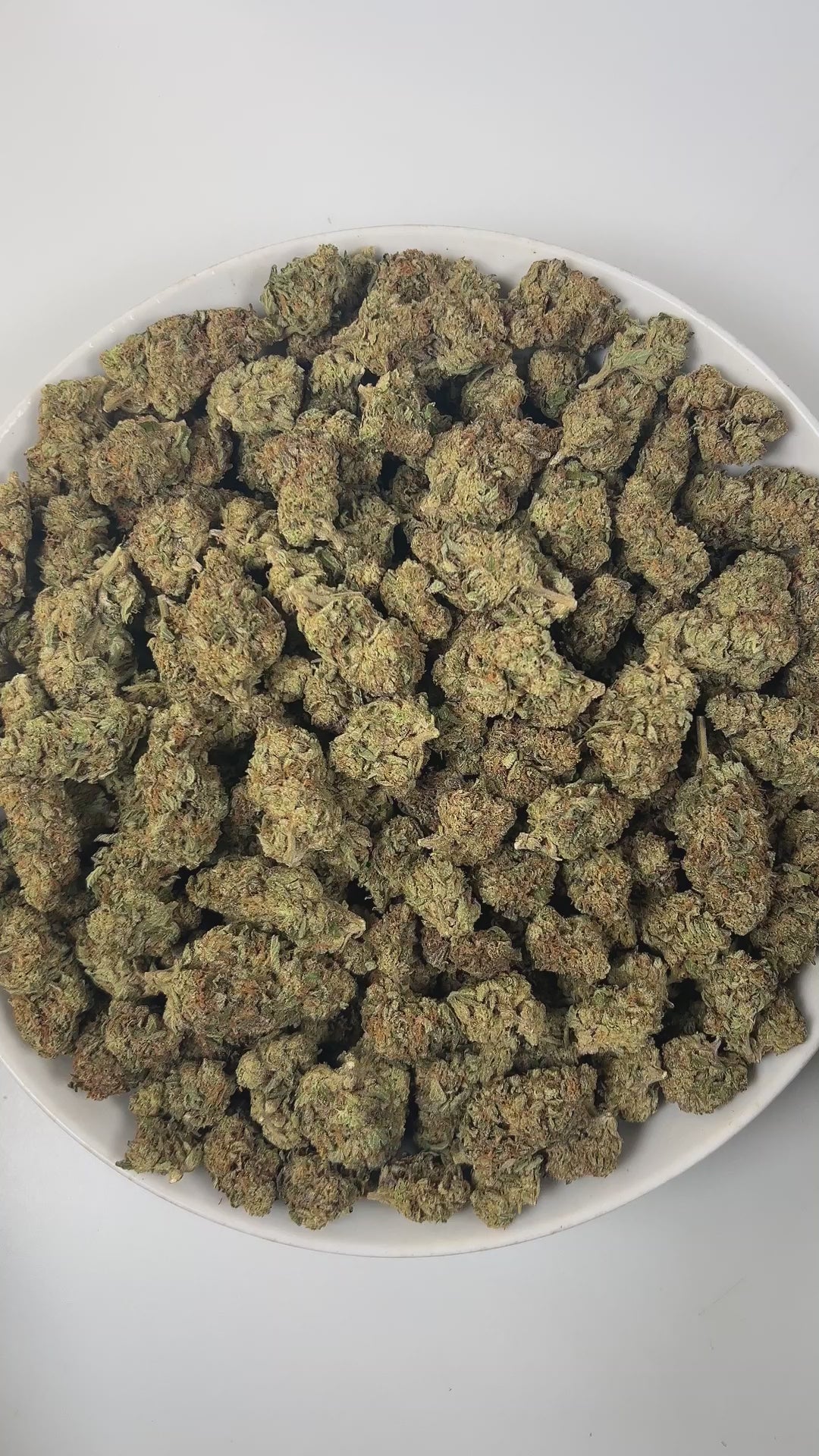 PUFFY GMO is an indica-dominant hybrid THCa strain, born from the legendary cross of Girl Scout Cookies and Chemdawg. The aroma opens with pungent notes of onion, intertwined with rich diesel and a hint of spicy undertones, creating a bold and unforgettable scent. Visually, the buds are dense and sticky, showcasing a striking mix of dark green and purple hues, drenched in thick crystalline trichomes and accented by fiery orange pistils. Consumers often report a deeply relaxing and calming effect that begins