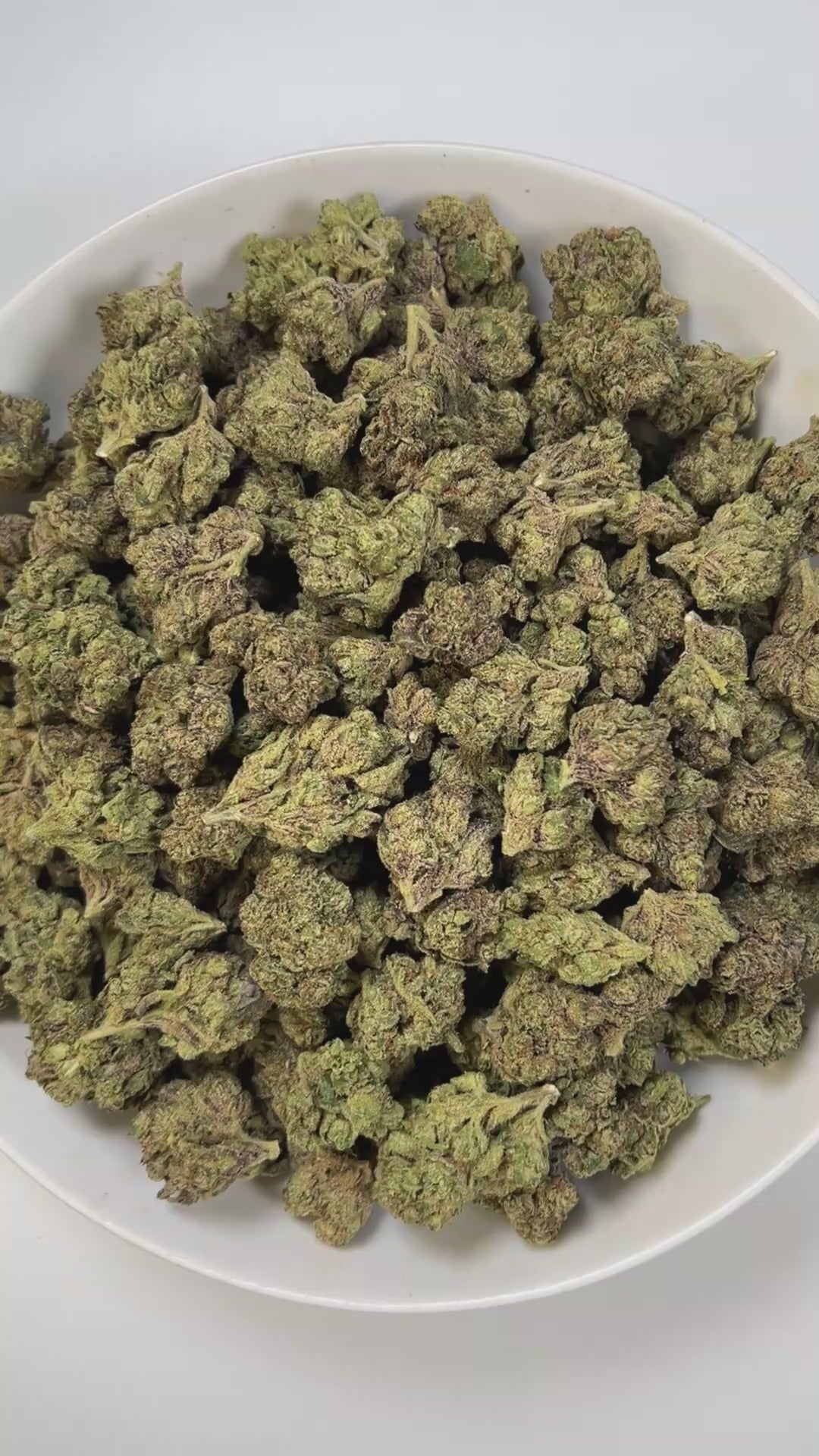 PUFFY Candy Gelato is a balanced hybrid THCa strain born from a complex cross of Blue Oreoz × Cotton Candy Gelato / Candyland × GG4 × Gelato. The aroma is a bold fusion of sweet candy notes, sharp gassy undertones, and a punch of chemical sharpness that creates a strikingly memorable profile. Visually, its dense, colorful nugs range from dark forest green to vibrant purple, often coated in a heavy layer of frosty trichomes. Consumers commonly report a fast-acting euphoric lift, delivering mental stimulation