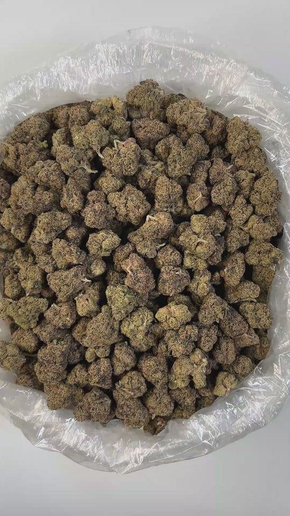 PUFFY Gello is a balanced hybrid THCa strain born from the flavorful cross of Bacio Gelato and Mochi Gelato. It delivers a sweet, fruity berry flavor layered with subtle notes of spicy pine and earthy undertones. The aroma mirrors the taste, blending earthy, floral, and skunky pine scents for a rich sensory experience. Visually, the buds are bright neon green with deep amber hues, vivid orange pistils, and a dense coating of chunky amber trichomes, making them as striking as they are potent. Consumers often