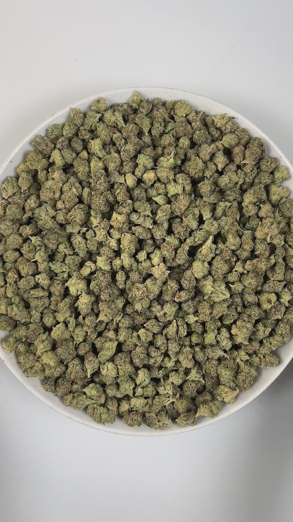 PUFFY Ice Cream Cake (smalls) is an Indica-dominant hybrid THCa strain, born from the potent cross between Wedding Cake and Gelato #33. The aroma unfolds with warm baked notes, sweet hints of vanilla, and delicate floral undertones. Visually, its buds are dense and chunky, showcasing a vibrant mix of green and purple hues with occasional touches of lavender, accented by fiery orange pistils. Consumers often report an experience that begins with a euphoric, uplifting cerebral high, gradually easing into a de