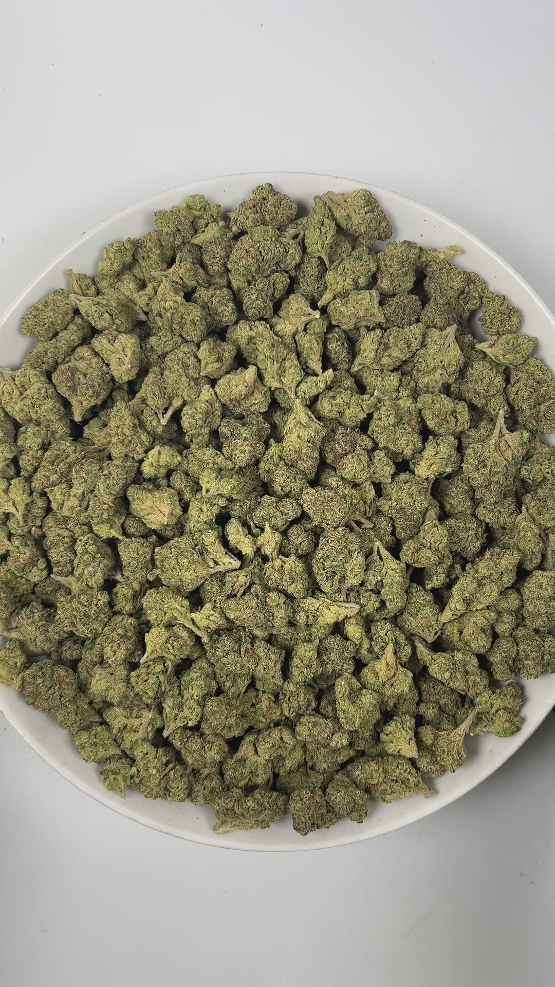 PUFFY Candy Gelato is a balanced hybrid THCa strain born from a complex cross of Blue Oreoz × Cotton Candy Gelato / Candyland × GG4 × Gelato. The aroma is a delightful blend of sweet candy notes, zesty citrus, and a pungent, gassy undertone that lingers enticingly. Visually, its dense, colorful nugs range from dark forest green to vibrant purple, often coated in a heavy layer of frosty trichomes. Consumers commonly report a fast-acting euphoric lift, delivering mental stimulation and a creative spark making