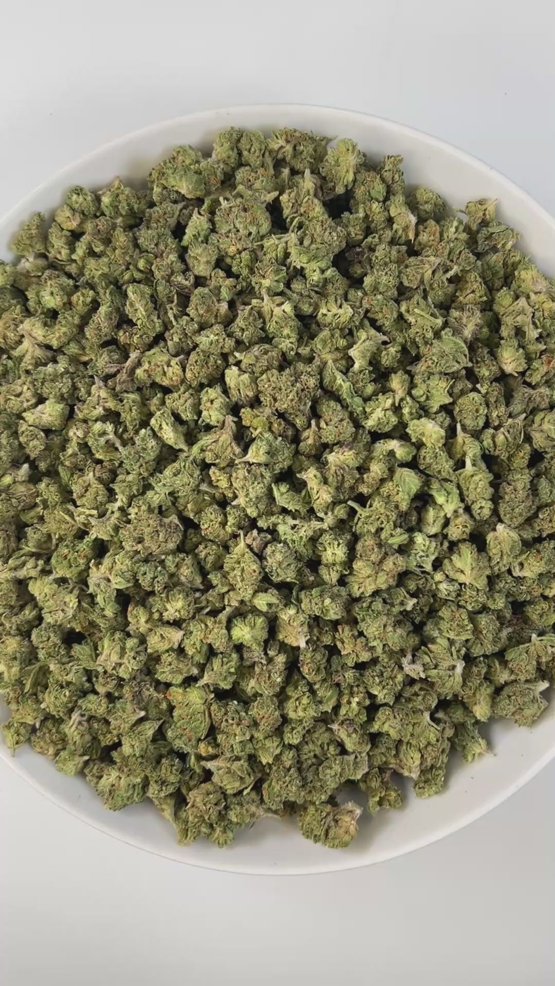 PUFFY Beach Cake (smalls) is a balanced hybrid THCa strain, born from the flavorful cross of Triangle Kush × Florida Cake. The aroma is sweet and creamy, offering a smooth, dessert-like richness that’s both inviting and indulgent. Visually, the buds are dense and deep green, accented by bright orange pistils and a frosty trichome coating. Consumers often describe an energizing and euphoric experience that sparks sociability, heightens mood, and leaves a tingling, uplifting sensation.
