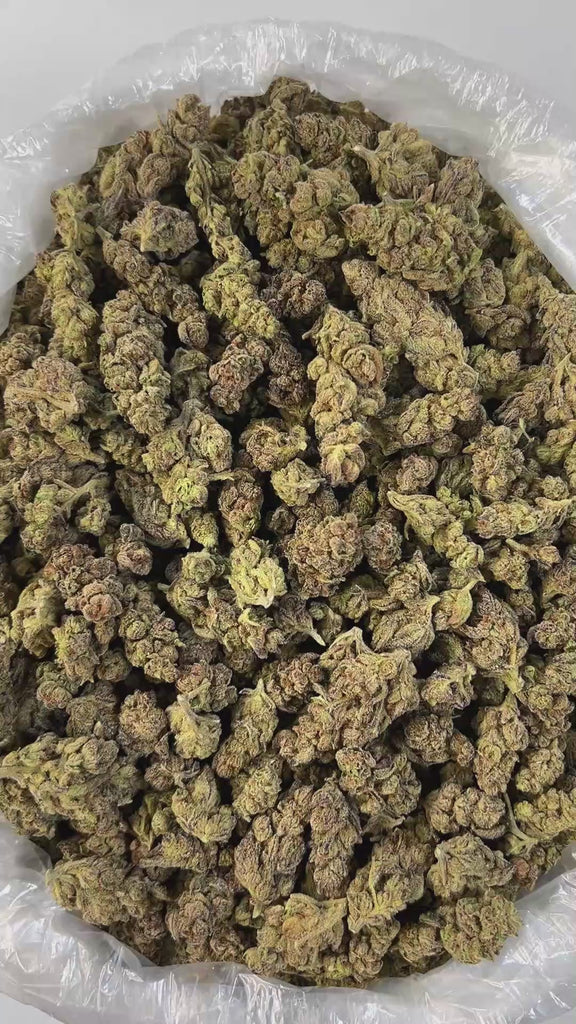 PUFFY Sour Dream is a sativa-dominant hybrid THCa strain, born from the iconic cross of Sour Diesel and Blue Dream. It boasts a pungent aroma that combines the sharp notes of diesel with zesty citrus and a hint of sweet berry. The flavor profile is equally bold, featuring a tangy blend of sour citrus and diesel, often described as grapefruit-like in its sharpness. Visually, the strain is striking, with lime-green buds adorned with vibrant orange pistils and coated in frosty trichomes. Consumers often report