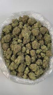 PUFFY King Gelato is an indica-dominant hybrid THCa strain created from the potent pairing of High Octane and Curelato. This strain features a bold, gassy aroma with sweet, cake-like undertones that linger on the senses. Visually, the buds are dense and eye-catching forest green in color with dark, shadowy hues and bright orange pistils woven throughout. Consumers often report a euphoric and calming body high that melts away tension, while enhancing focus and promoting emotional uplift. Many also describe f