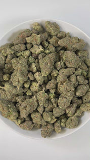 PUFFY Super Boof is a balanced hybrid THCa strain created by crossing Black Cherry Punch and Tropicana Cookies. The aroma bursts with bright citrus notes layered over a sweet, tropical essence. Visually, it features dense, spade-shaped buds in vibrant olive green, accented with fiery orange hairs and coated in a frosty layer of trichomes. Consumers often report effects that are uplifting, euphoric, and creatively stimulating, while also providing a sense of relaxation and mental focus.
