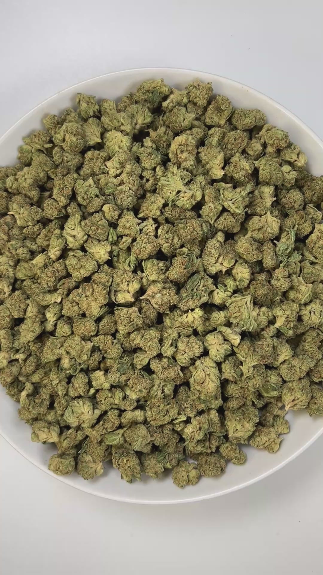 PUFFY Wedding Cake (smalls) is an indica-dominant hybrid THCa strain created by crossing Triangle Cherry Pie and Girl Scout Cookies (GSC). The aroma is a captivating mix of pungent gas, layered with sweet undertones and delicate floral accents for a balanced yet striking profile. Visually, the buds are dense and vibrant, with forest green and purple hues coated in frosty trichomes and bright orange pistils. Consumers often report a euphoric, uplifted mood paired with a relaxing body high, along with a creat