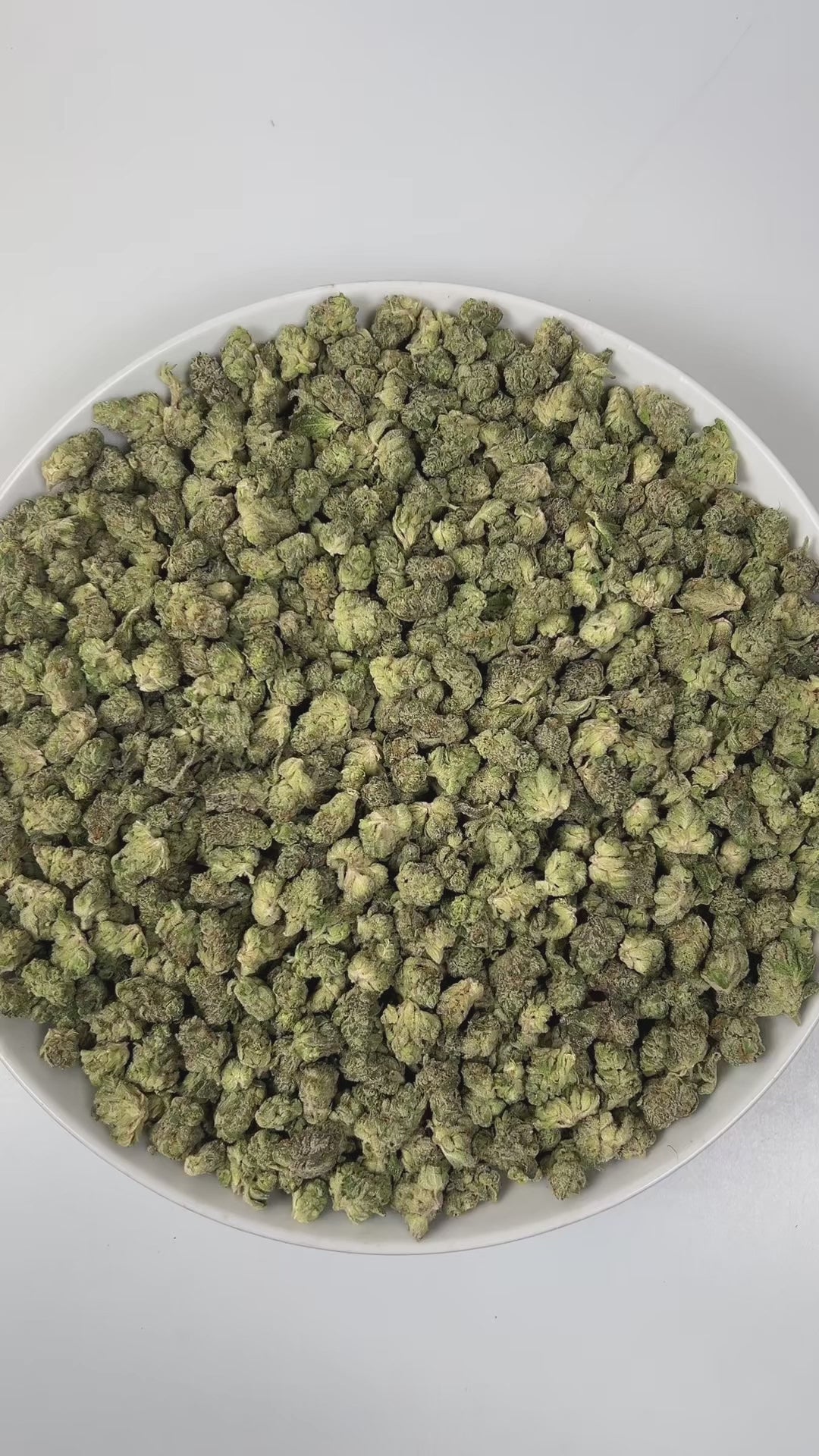 PUFFY Luxor (smalls) is an indica-dominant hybrid THCa strain, crafted from the unique union of Triangle Kush and SinMint Cookies. The aroma is a zesty burst of lime, layered with warm woody undertones and a subtle gassy note, creating a bold, energizing, and slightly earthy fragrance. Visually, dense deep green buds with purple hues and fiery orange pistils are coated in sticky trichomes. Consumers often report experiencing euphoria, an uplifted mood, heightened creativity, and a state of relaxed, focused 