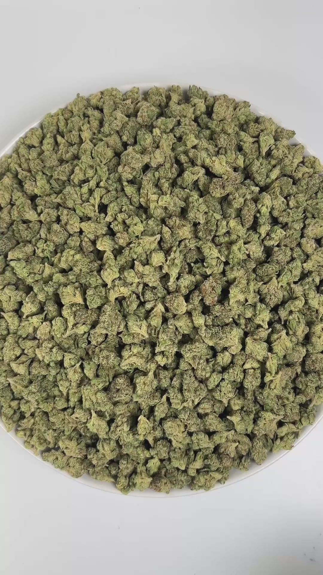 PUFFY Candy Gelato (smalls) is a balanced hybrid THCa strain born from a complex cross of Blue Oreoz × Cotton Candy Gelato / Candyland × GG4 × Gelato. The aroma bursts with sweet candy and ripe berry notes, complemented by a sharp, gassy undertone. Visually, its dense, colorful nugs range from dark forest green to vibrant purple, often coated in a heavy layer of frosty trichomes. Consumers commonly report a fast-acting euphoric lift, delivering mental stimulation and a creative spark making it an ideal comp