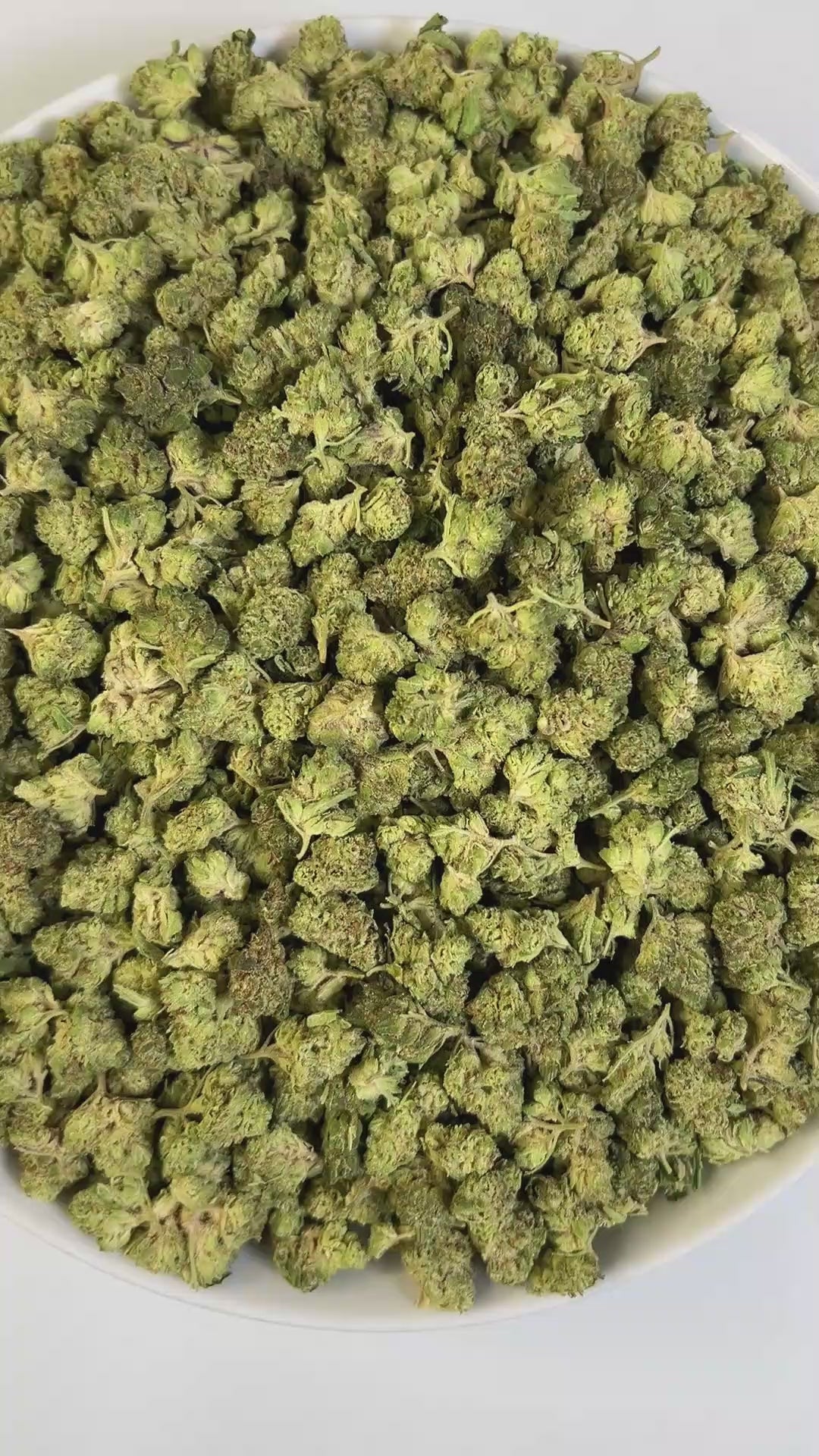 PUFFY Apple Tree Smalls is a sativa-dominant THCa hybrid, expertly crafted from a cross between Apple Fritter and Lemon Haze. The aroma is incredibly juicy, fruity, and sweet, bursting with lush apple notes and a candy-like finish that lingers on the senses. Visually, the buds are dense and tightly packed, showcasing vibrant green tones intertwined with fiery orange pistils and coated in a thick layer of sparkling trichomes that give them a frosted, crystal-like sheen. Consumers often describe it as a smoot