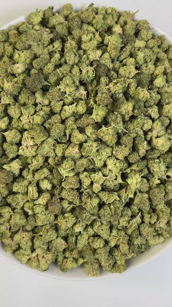 PUFFY Apple Tree Smalls is a sativa-dominant THCa hybrid, expertly crafted from a cross between Apple Fritter and Lemon Haze. The aroma is incredibly juicy, fruity, and sweet, bursting with lush apple notes and a candy-like finish that lingers on the senses. Visually, the buds are dense and tightly packed, showcasing vibrant green tones intertwined with fiery orange pistils and coated in a thick layer of sparkling trichomes that give them a frosted, crystal-like sheen. Consumers often describe it as a smoot