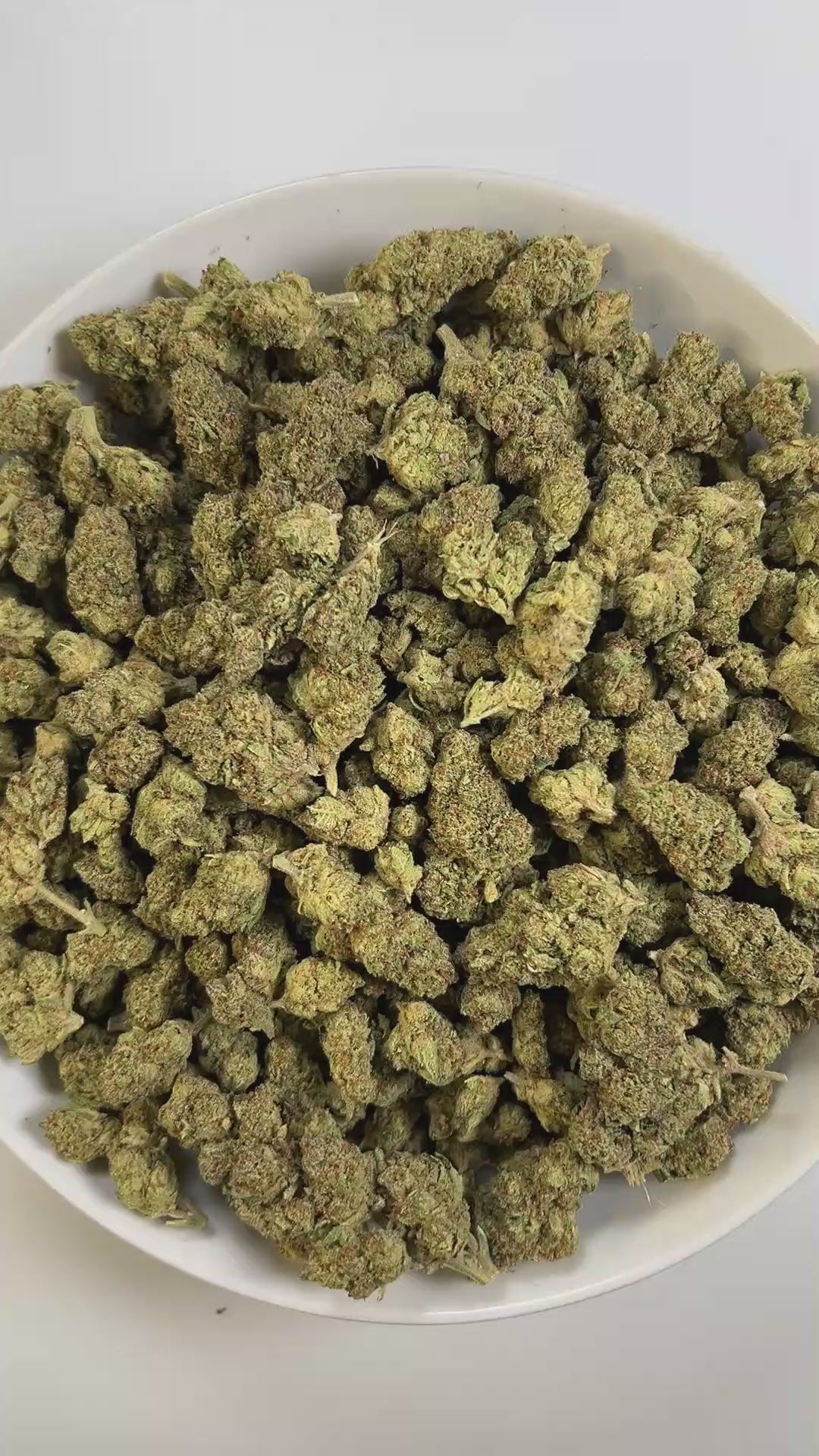 THC-A Flower - Jealousy (Indoor) (Hybrid)