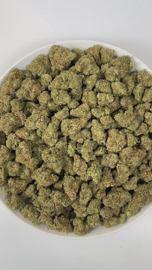 PUFFY Jack Herer is a sativa-dominant hybrid THCa strain, bred from a legendary three‑way genetic cross of Northern Lights #5, Shiva Skunk, and Haze. The aroma is a bold blend of tropical lime, sharp chemicals, and pungent diesel, creating a striking and memorable sensory experience. Visually, dense green buds with purple hues and fiery orange pistils are coated in sticky trichomes. Consumers often report euphoric, energetic, focused, and uplifting sensations, along with potential relief from stress and anx
