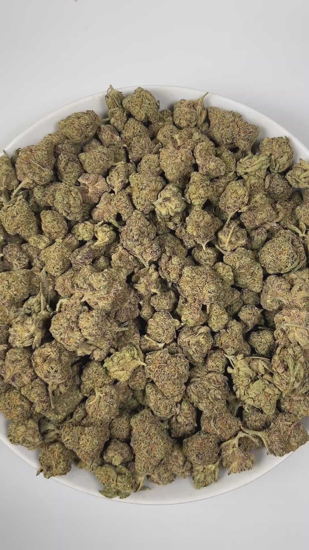 PUFFY Sherb Cream Pie is an indica-dominant hybrid THCa strain, born from the renowned cross of Ice Cream Cake and Sherb BX1. The aroma exudes a soothing blend of herbal notes intertwined with sweet vanilla and a creamy finish, creating a rich and comforting fragrance. Visually, the buds are light and airy with a slightly conical form, showcasing rich green and purple tones, all enveloped in a sparkling layer of frosty trichomes. Consumers often report a wave of euphoria and happiness paired with soothing r