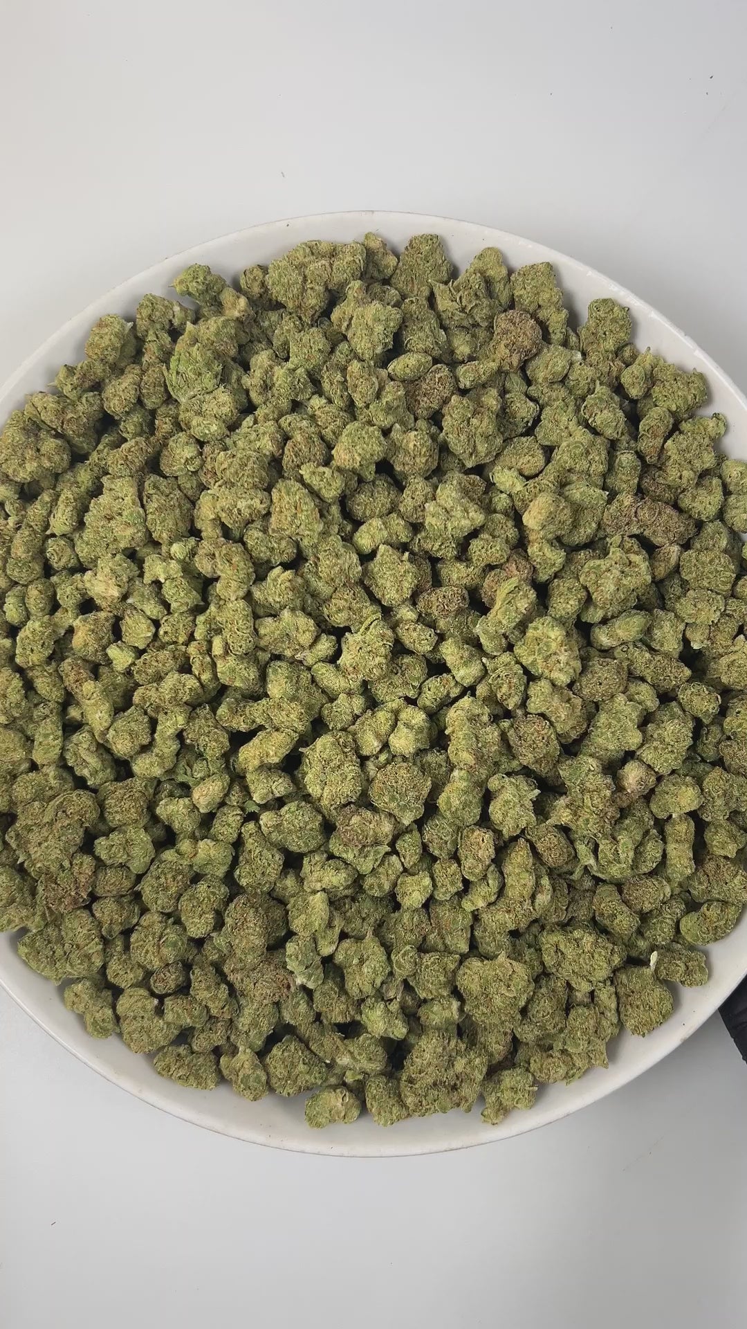 PUFFY Cheetah Piss (smalls) is a balanced hybrid THCa strain, expertly bred from a powerhouse trio: Lemonnade, Gelato 42, and London Poundcake 97. The aroma is a sharp and zesty blend of lime, pungent skunk, and bold chemical notes. Visually, the dense, vibrant green buds are frosted with trichomes, accented by orange pistils and occasional subtle purple hues. Consumers often experience an uplifting rush that sharpens focus and brings euphoric clarity, making social interactions effortless and tasks easier,