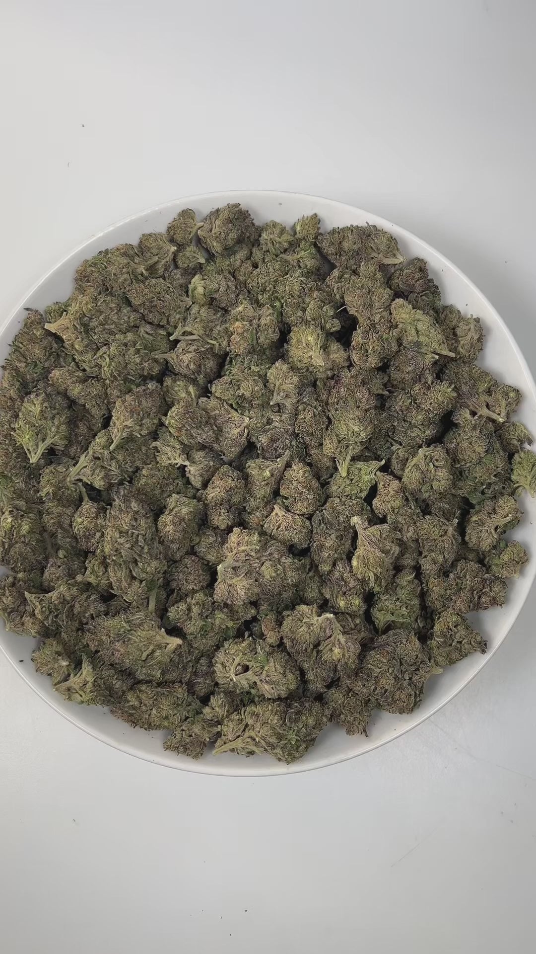 PUFFY Venom OG is an indica-dominant THCa strain, born from the powerful cross of Poison OG and Rare Dankness #1. The aroma greets you with a bold blend of diesel, delicate floral notes, and rich earthy undertones, creating a captivating sensory experience. Visually striking, this strain showcases dense forest-green buds kissed with deep purple hues, fiery orange pistils, and a sparkling layer of sticky, resinous trichomes. Consumers often report a soothing body high paired with elevated mood, bringing feel