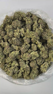 PUFFY Candy Gas is a balanced hybrid THCa strain crafted from the legendary pairing of Gelato 41 (Bacio Gelato) and Runtz. Its aroma bursts with sweet candy notes layered over sharp gassy undertones and a bold chemical edge flavors that seamlessly carry through in each smooth, flavorful hit. Visually, it features dense, mid-sized buds with bright green and deep purple hues, fiery orange pistils, and a thick blanket of sparkling trichomes. Consumers often report a perfectly balanced high that starts with a e