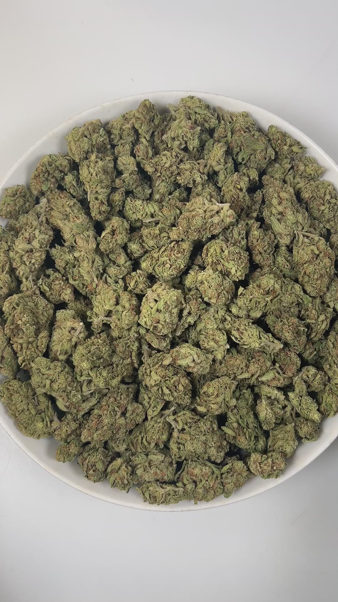 PUFFY Blucifer is a sativa-dominant hybrid THCa strain, born from the powerful cross of Conspiracy Kush × Blue Dream. The aroma opens with sweet, ripe berry notes layered with smooth, creamy undertones and finished with a bold, gassy edge. Visually, the dense buds feature deep forest green and rich purple hues, accented by vibrant orange pistils and a coating of sparkling trichomes. Consumers often report a lively, uplifting experience marked by bursts of energy and happiness, coupled with a clear, cerebral