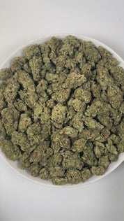 PUFFY Blucifer is a sativa-dominant hybrid THCa strain, born from the powerful cross of Conspiracy Kush × Blue Dream. The aroma opens with sweet, ripe berry notes layered with smooth, creamy undertones and finished with a bold, gassy edge. Visually, the dense buds feature deep forest green and rich purple hues, accented by vibrant orange pistils and a coating of sparkling trichomes. Consumers often report a lively, uplifting experience marked by bursts of energy and happiness, coupled with a clear, cerebral