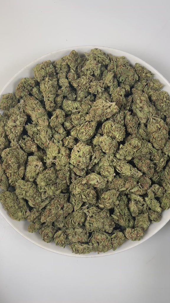 PUFFY Blucifer is a sativa-dominant hybrid THCa strain, born from the powerful cross of Conspiracy Kush × Blue Dream. The aroma opens with sweet, ripe berry notes layered with smooth, creamy undertones and finished with a bold, gassy edge. Visually, the dense buds feature deep forest green and rich purple hues, accented by vibrant orange pistils and a coating of sparkling trichomes. Consumers often report a lively, uplifting experience marked by bursts of energy and happiness, coupled with a clear, cerebral