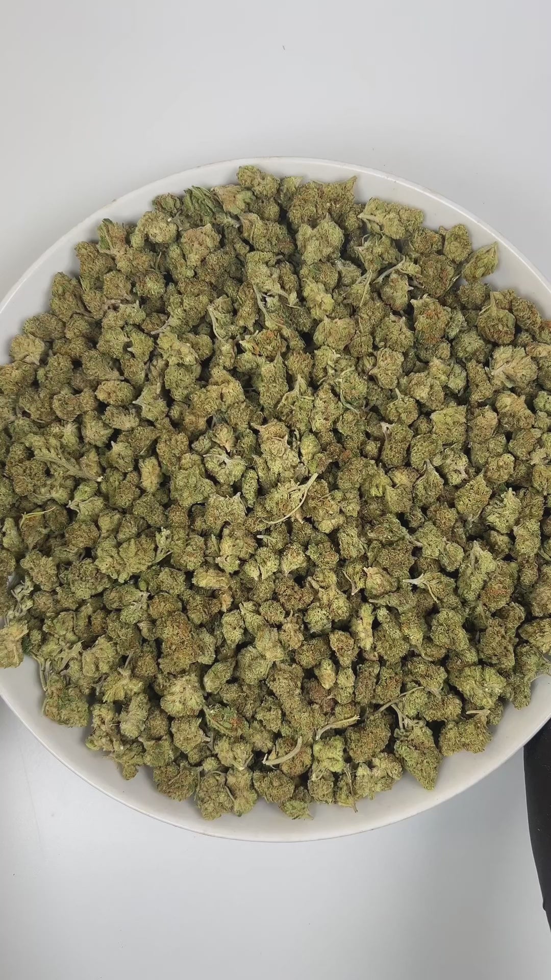 PUFFY Green Crack (smalls) is a sativa-dominant hybrid THCa strain, its lineage is thought to originate from a cross between the legendary Skunk #1 and an Afghani or another traditional indica landrace. The aroma is a vibrant blend of zesty citrus, rich earthy undertones, and a sharp hint of diesel. Visually, the dense buds feature light-to-lime green with purple hues, bright orange pistils, and a frosty coating of trichomes. Consumers often report an invigorating mental lift that sparks creativity, sharpen