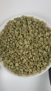 PUFFY Green Crack (smalls) is a sativa-dominant hybrid THCa strain, its lineage is thought to originate from a cross between the legendary Skunk #1 and an Afghani or another traditional indica landrace. The aroma is a vibrant blend of zesty citrus, rich earthy undertones, and a sharp hint of diesel. Visually, the dense buds feature light-to-lime green with purple hues, bright orange pistils, and a frosty coating of trichomes. Consumers often report an invigorating mental lift that sparks creativity, sharpen