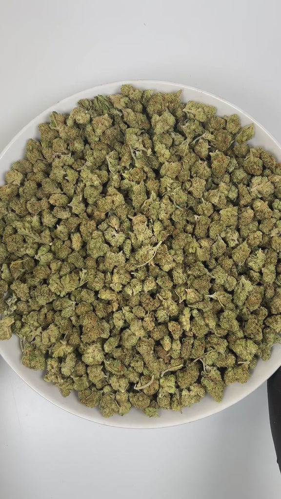 PUFFY Green Crack (smalls) is a sativa-dominant hybrid THCa strain, its lineage is thought to originate from a cross between the legendary Skunk #1 and an Afghani or another traditional indica landrace. The aroma is a vibrant blend of zesty citrus, rich earthy undertones, and a sharp hint of diesel. Visually, the dense buds feature light-to-lime green with purple hues, bright orange pistils, and a frosty coating of trichomes. Consumers often report an invigorating mental lift that sparks creativity, sharpen