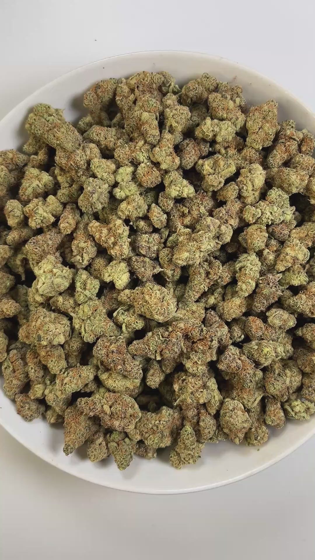 PUFFY Garlicane is an indica-dominant hybrid THCa strain, created by crossing GMO × Slurricane. The aroma combines a bold kick of pickled garlic with a sweet, candy-like finish, creating a uniquely savory-sweet profile. Visually, the buds are dense and deep green with purple hues, bright pistils, and a heavy frost of trichomes. Consumers often report a soothing body melt paired with gentle tingles, balanced by a calm, euphoric state of mind.
