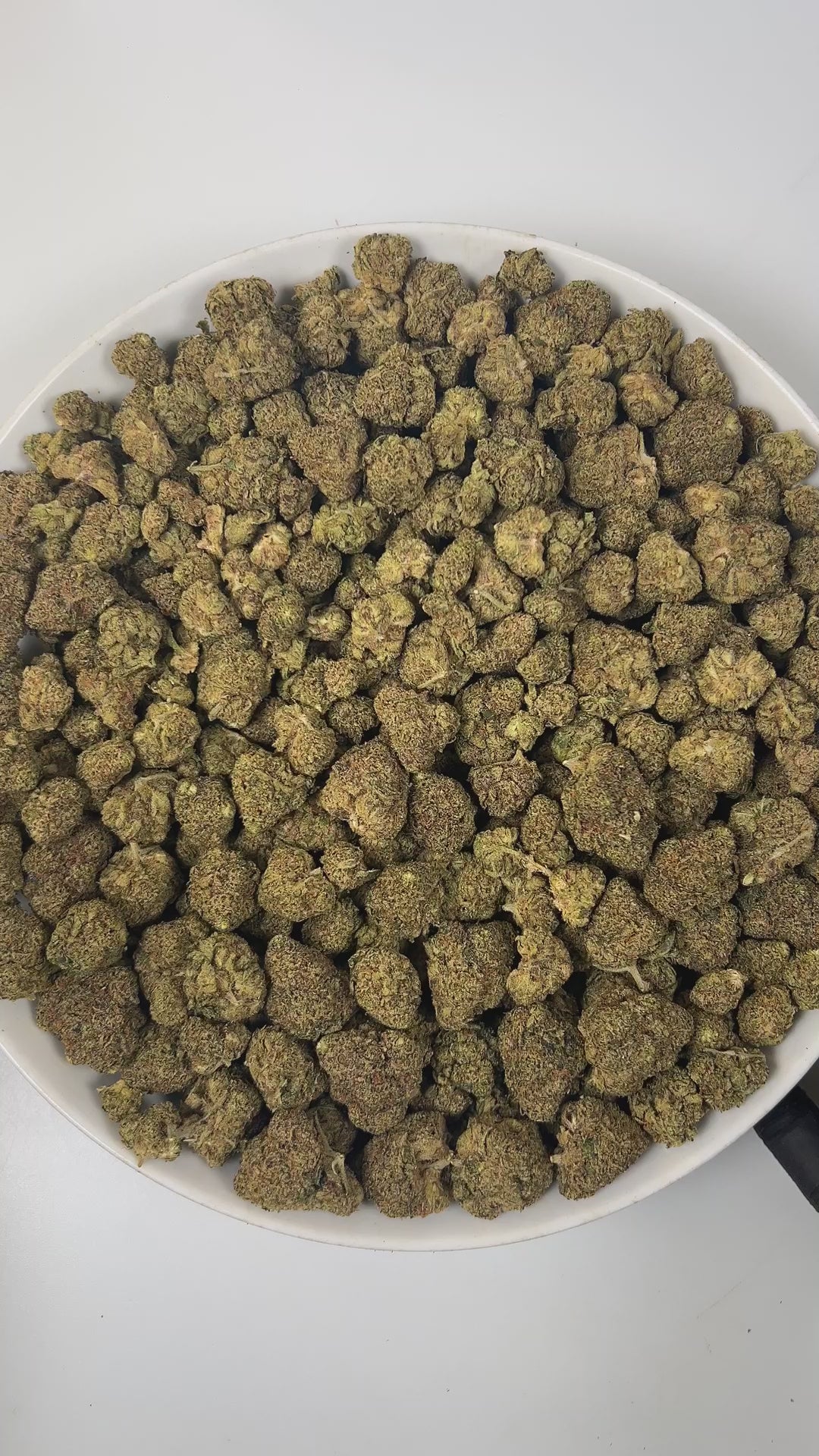 PUFFY Tangerine Dream is a sativa-dominant hybrid THCa strain, born from the masterful cross of Afghani, G13 and Neville’s A5 Haze. The aroma bursts with zesty orange, creamy sweetness, and a sharp hint of diesel. Visually, these dense buds captivate with striking lime green and royal purple hues, vibrant orange pistils, and a sparkling blanket of trichomes. Consumers often report a balanced experience of uplifting euphoria paired with gentle physical relaxation, enhancing creativity, boosting mood, and lea