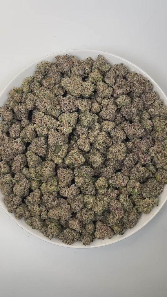 PUFFY Animal Cookies is an indica-dominant hybrid THCa strain, born from the renowned pairing of Girl Scout Cookies (GSC) with Fire OG. The aroma is rich and inviting, blending warm doughy notes with sweet cake and decadent chocolate undertones. Visually, dense green buds with purple hues and fiery orange pistils are coated in sticky trichomes. Consumers often report an initial sense of euphoria and uplifted mood, followed by deep relaxation and body calm, sometimes leading to sedation and full physical eas