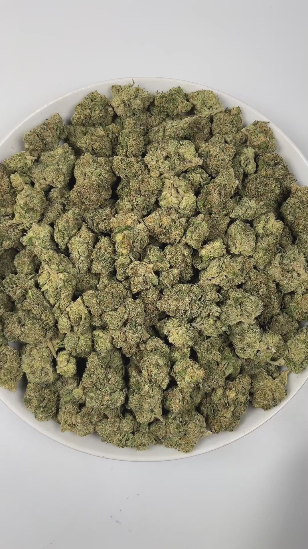 PUFFY Permanent Marker is an indica-dominant hybrid THCa strain, born from the complex cross of Biscotti, Jealousy, and Sherbet BX. The aroma is a zesty blend of fresh lemon, pungent gassy notes, and delicate floral undertones. Visually striking, the buds feature deep purple and green hues, bright orange pistils, and a thick coating of sparkling resinous trichomes. Consumers often report a blissful euphoria that uplifts the mood, sparks creativity, creates gentle tingling sensations, and envelops the body i