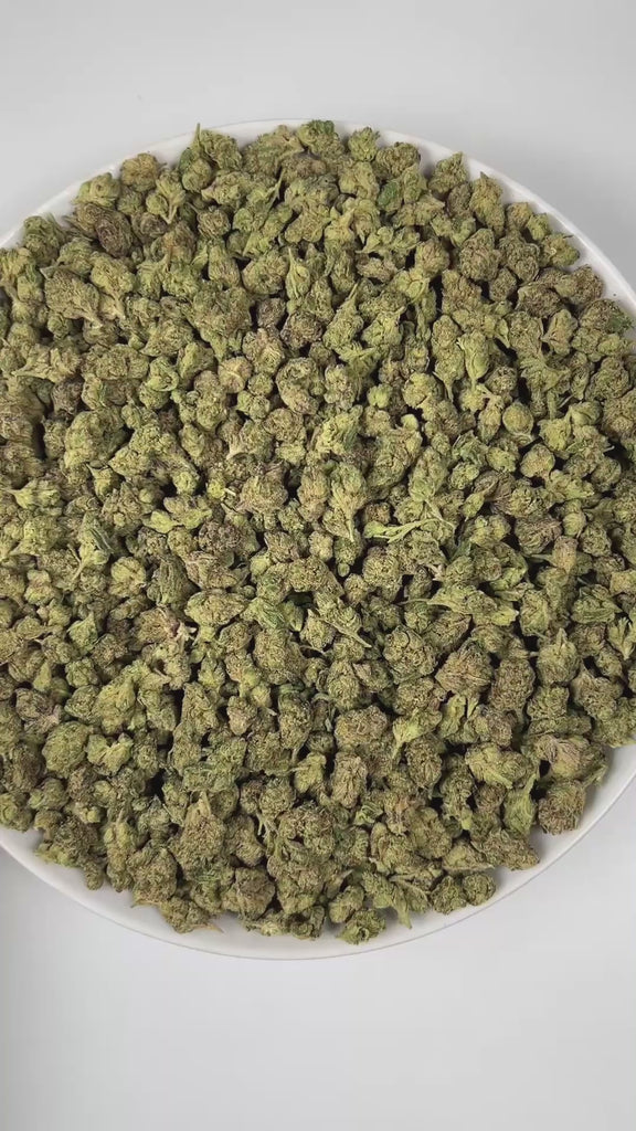 PUFFY Gelato (smalls) is a balanced hybrid THCa strain, created by crossing Sunset Sherbet and Thin Mint Girl Scout Cookies. The aroma combines bright citrus notes with smooth hints of vanilla and a grounding earthy undertone. Visually, the buds are dense and dark green with subtle purple hues, highlighted by bright orange pistils and a generous coating of frosty trichomes. Consumers often report a cerebral uplift and sense of euphoria, promoting an elevated mood, creativity, and sociability, accompanied by