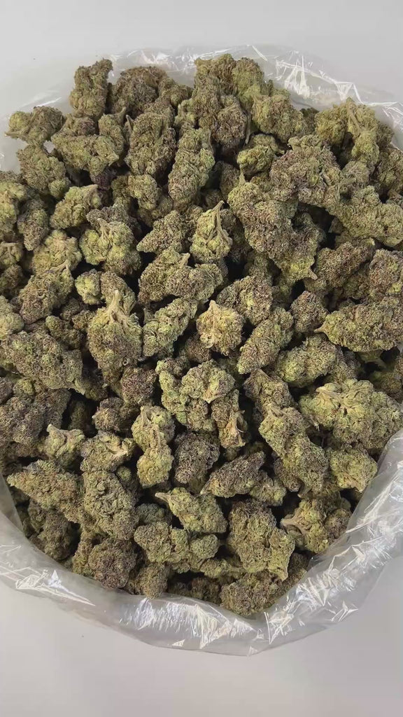 PUFFY Purple Gusher is a well-balanced hybrid THCa strain born from the potent cross between Gelato #41 and Purple Punch. The aroma blends earthy richness with smooth, creamy undertones that entice the senses. Visually, its nugs are dense and chunky, showcasing a vibrant forest-green base laced with deep purple hues, fiery orange pistils, and a heavy dusting of frosty trichomes. Consumers often report an uplifting wave of euphoria and bursts of laughter, followed by a soothing, full-body relaxation. It's a 