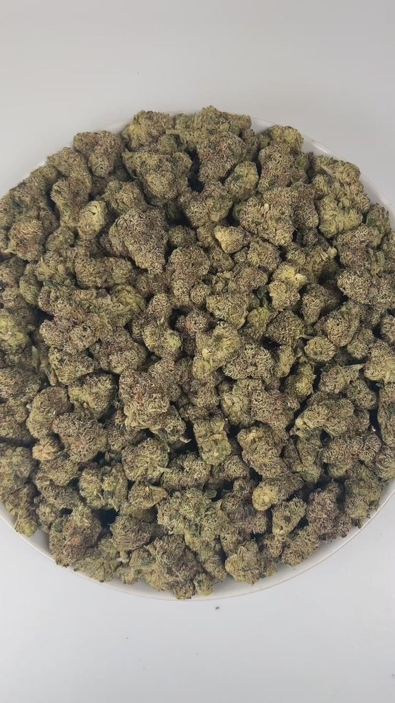 PUFFY Blue Nerdz is a balanced hybrid THCa strain, born from the fusion of Forbidden Fruit and Watermelon Z. The aroma bursts with sweet candy notes intertwined with ripe berries and a fresh piney finish, offering a delightful blend of fruity and forest-like scents. Visually, it features compact, bulbous buds in green and deep purple hues, highlighted by orange pistils and a thick frost of trichomes. Consumers often report an initial cerebral uplift characterized by euphoria, elevated mood, and a burst of c