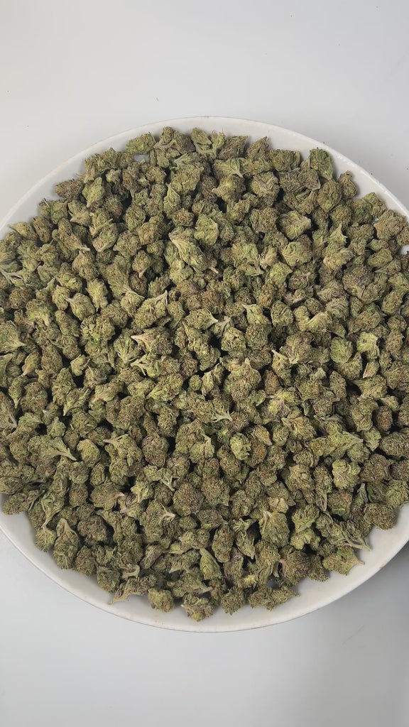 PUFFY Applescotti (smalls) is a balanced hybrid THCa strain, born from the flavorful cross between  Apples & Bananas and Biscotti. The aroma is a crisp and invigorating mix of fresh apple, piney freshness, and rich fuel-like undertones. The buds are dense and vibrant, showcasing lush green and deep purple hues, accented by bright orange pistils and a generous coating of sparkling trichomes. Consumers often report a balanced high that begins with uplifting, clear-headed mental effects, enhancing focus, mood,