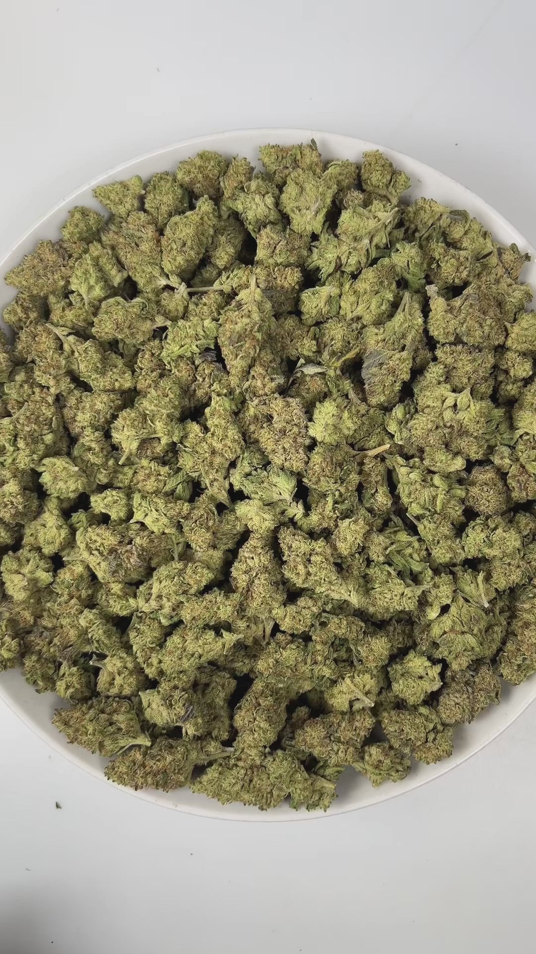 PUFFY Frosty OG is an indica-dominant hybrid THCa strain, crafted from the legendary lineage of OG Kush and Frostbite. The aroma is a rich blend of creamy and sweet vanilla notes, layered with warm, inviting spices that tantalize the senses. Visually, dense green buds with hints of purple are threaded with fiery orange pistils and coated in a sparkling layer of sticky trichomes. Consumers often report a wave of euphoria and happiness, paired with deep relaxation, a sense of calm, and a boost in creativity.