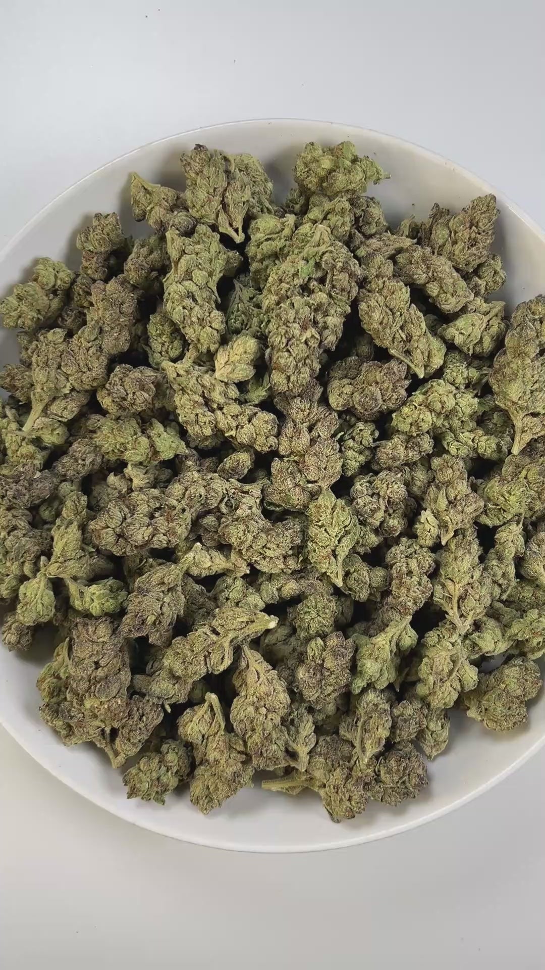 PUFFY Creamsicle is a sativa-dominant hybrid THCa strain, born from the flavorful cross of Orange Crush and Juicy Fruit. The aroma is a delightful blend of tropical, fruity, and creamy notes that create a smooth and inviting scent profile. Visually, the buds are compact and resinous, showcasing vibrant green hues intertwined with fiery orange pistils and a shimmering layer of frosty trichomes. Consumers often report a gentle, wave-like onset that lifts the mood with euphoric, cerebral effects, gradually mel