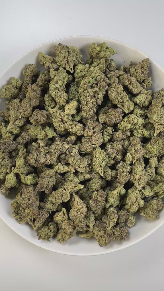 PUFFY Creamsicle is a sativa-dominant hybrid THCa strain, born from the flavorful cross of Orange Crush and Juicy Fruit. The aroma is a delightful blend of tropical, fruity, and creamy notes that create a smooth and inviting scent profile. Visually, the buds are compact and resinous, showcasing vibrant green hues intertwined with fiery orange pistils and a shimmering layer of frosty trichomes. Consumers often report a gentle, wave-like onset that lifts the mood with euphoric, cerebral effects, gradually mel