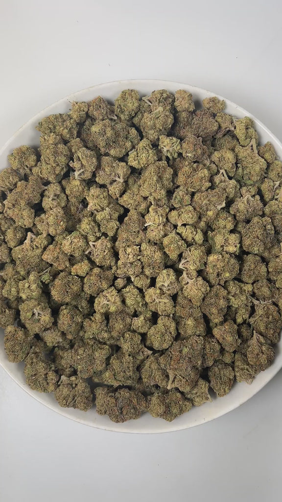 PUFFY Candy Cane is an indica-dominant hybrid THCa strain, crafted from the legendary trio of Mango, White Widow and AK-47. The aroma bursts with bright, fruity notes, complemented by refreshing hints of mint and a lingering sweet finish. Visually, dense buds showcase vibrant bright green and deep purple hues, adorned with fiery orange pistils and a sparkling layer of frosty trichomes. Consumers often report a euphoric mental high that elevates mood, gentle body relaxation that eases tension and mild discom