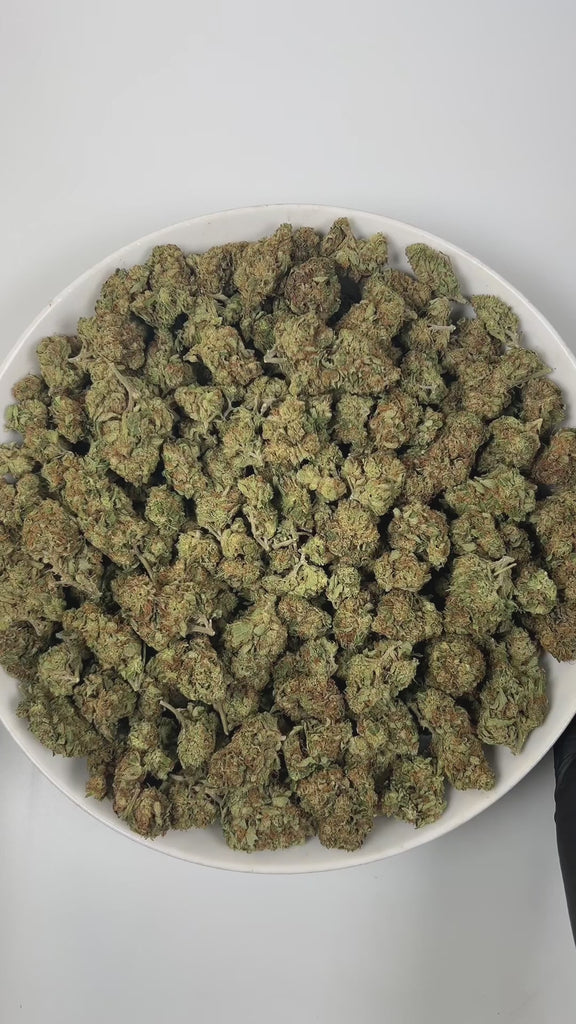 PUFFY Supreme OG is an indica-dominant hybrid THCa strain, often recognized as a standout within the OG Kush family; this strain carries the hallmark traits of its legendary lineage. The aroma bursts with zesty lemon, crisp pine, and a distinct gassy edge. Visually, the dense, grape-shaped buds display rich emerald to forest-green hues, bright orange pistils, and a frosty coating of trichomes. Consumers often report an initial burst of mental clarity and uplifted mood, sparking creativity and sociability, w