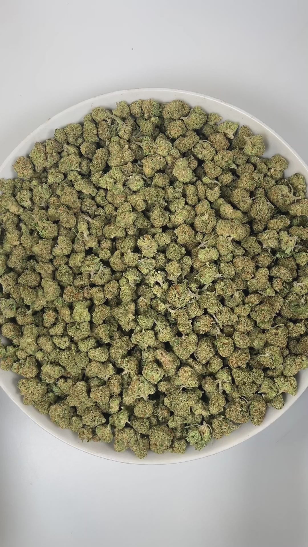 PUFFY Truffle Butter (smalls) is an Indica-dominant hybrid THCa strain, born from the flavorful cross of Gelato and Chocolate Kush. The aroma unfolds in a vibrant mix of fruity notes balanced by deep coffee richness and a gentle nutty twist. Visually, the buds are dense and striking, showcasing a deep forest-green base with vibrant purple hues, bright orange pistils, and a sparkling coating of trichomes. Consumers often report an initial burst of euphoria and uplifted mood, gradually giving way to deep phys