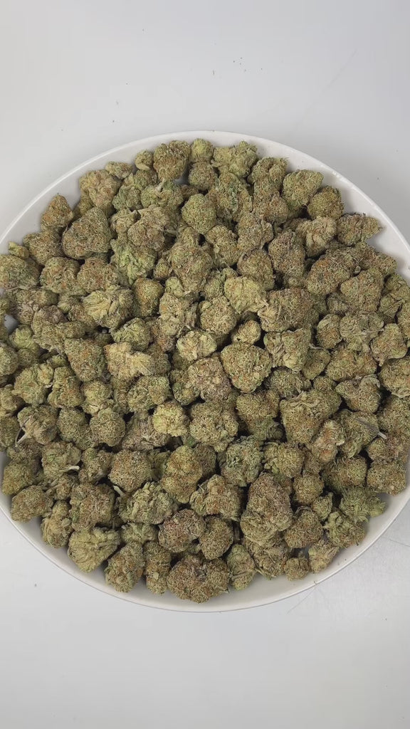 PUFFY Tangelo is a sativa-dominant hybrid THCa strain, born from a powerful cross between Tangerine Sunrise × Gorkle. The aroma bursts with bright, zesty oranges, intertwined with fresh pine notes and a distinctive funky undertone, creating a vibrant and memorable scent profile. Visually, dense green buds with purple hues and fiery orange pistils are coated in sticky trichomes. Consumers often report an uplifting and energizing experience, delivering euphoria, enhanced sociability, heightened creativity, a 