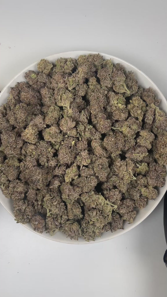 PUFFY Candy Pop is a balanced hybrid THCa strain, born from the legendary pairing of Alien Cookies F2 with a Miracle 15OG Kush × Blue Dream. Aroma bursts with juicy grape, sweet candy, and a lively zesty twist, creating an irresistibly playful and uplifting scent. Visually, dense lime green buds with hints of purple, fiery orange pistils, and a sparkling frost of trichomes. Consumers often report an upbeat, feel-good buzz that opens up a happy, creative headspace and makes social moments flow effortlessly,