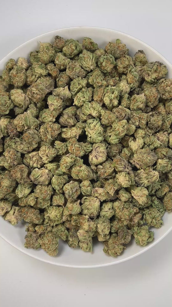 PUFFY Blueberry Pancake is an indica-dominant hybrid born from the cross of DJ Short Blueberry and either Purple Panty Dropper or a hybrid with Slurricane. The aroma carries a burst of ripe blueberries layered with sour notes and a delicate floral finish. Visually, the buds are dense and heavily coated in trichomes, displaying a vibrant mix of deep green, blue-purple, and olive tones, accented by bright orange pistils and a thick layer of visible resin. Consumers often report a soothing cerebral uplift that