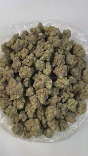 PUFFY Honey Bun is a balanced hybrid THCa strain created from the cross of Gelatti and Honey B. It offers a distinct and complex aroma profile, blending gassy notes with a sweet undertone and a sharp hint of chemical accents. Visually, the buds are dense and range from light to mid-green, generously coated in frosty trichomes and adorned with vibrant orange pistils. Consumers often report an immediate head high characterized by euphoria, an uplifted mood, and a tingling sensation. This cerebral stimulation 