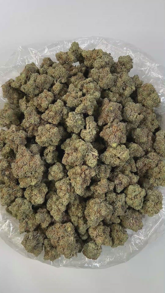 PUFFY Honey Bun is a balanced hybrid THCa strain created from the cross of Gelatti and Honey B. It offers a distinct and complex aroma profile, blending gassy notes with a sweet undertone and a sharp hint of chemical accents. Visually, the buds are dense and range from light to mid-green, generously coated in frosty trichomes and adorned with vibrant orange pistils. Consumers often report an immediate head high characterized by euphoria, an uplifted mood, and a tingling sensation. This cerebral stimulation 