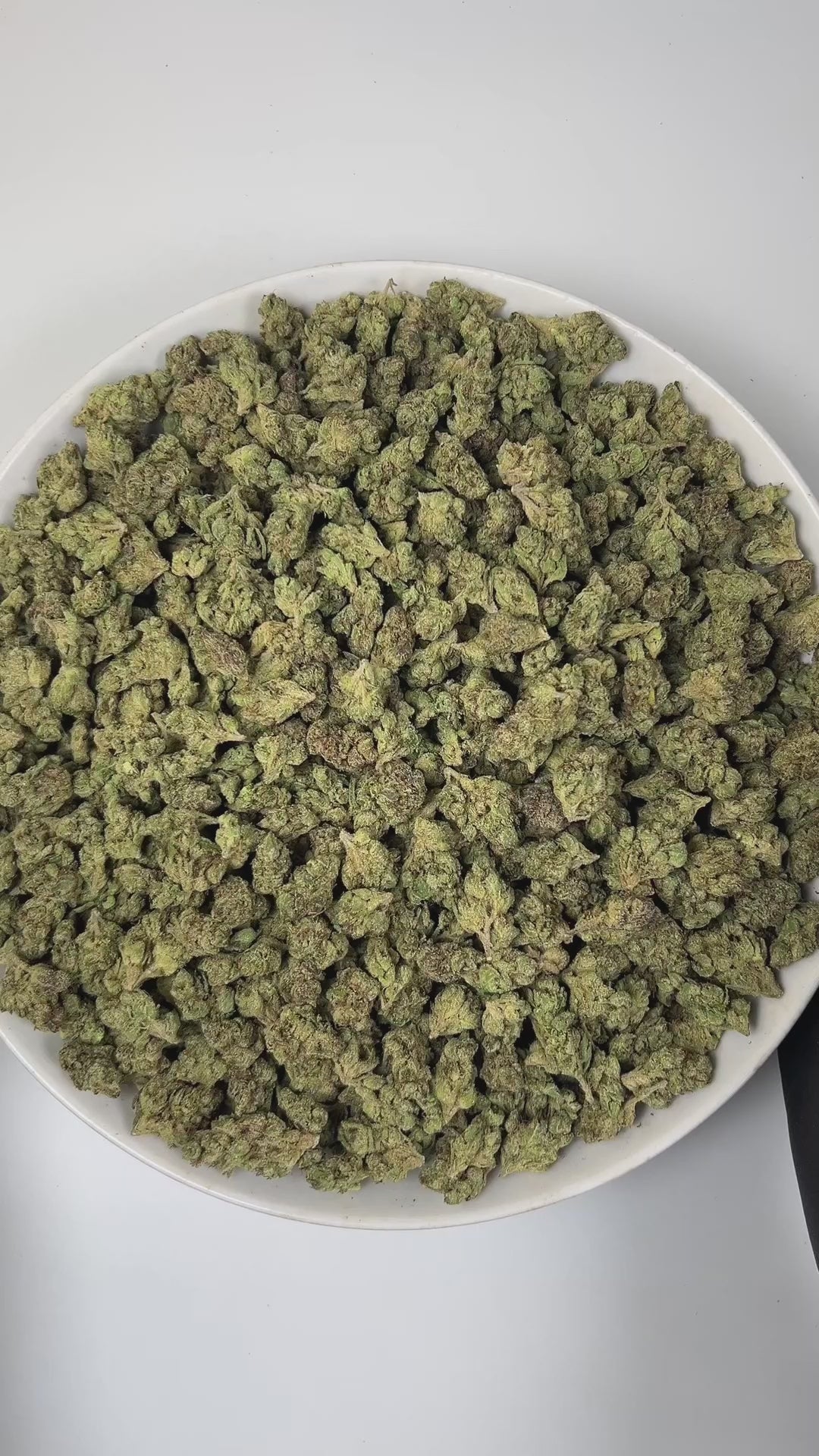 PUFFY Candy Runtz (smalls) is a balanced hybrid THCa strain, born from the legendary cross of ZKZ and Gelato. The aroma delights the senses with a sweet candy-like fragrance, zesty hints of lemon, and a grounding earthy undertone. Visually dense buds, frosty with bright orange pistils and purple accents. Consumers often describe an initial wave of euphoria that sparks creativity and uplift, gradually easing into a calm, relaxing state.
