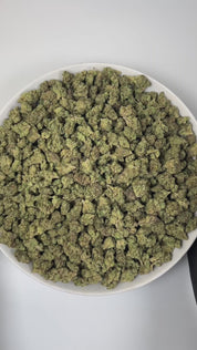 PUFFY Candy Runtz (smalls) is a balanced hybrid THCa strain, born from the legendary cross of ZKZ and Gelato. The aroma delights the senses with a sweet candy-like fragrance, zesty hints of lemon, and a grounding earthy undertone. Visually dense buds, frosty with bright orange pistils and purple accents. Consumers often describe an initial wave of euphoria that sparks creativity and uplift, gradually easing into a calm, relaxing state.
