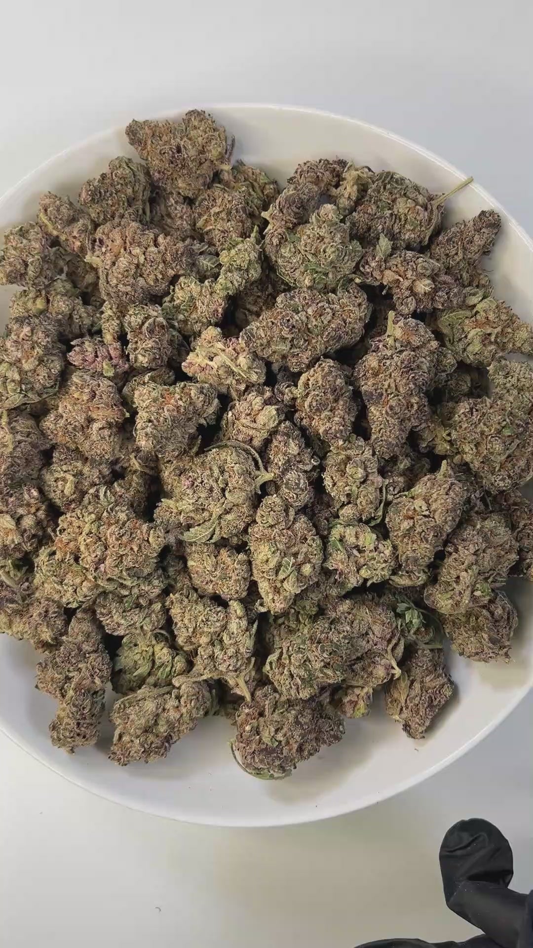 PUFFY Gas Queen is an indica-dominant hybrid THCa strain born from the potent fusion of All Gas OG and Dream Queen. Aroma is a bold fusion of sharp gas, crisp menthol, and a lingering chemical edge intense and unmistakably potent. Visually dense and chunky, the buds display a striking blend of deep forest green and rich purple hues, accented by fiery orange pistils and enveloped in a thick, glistening layer of frosty trichomes. Consumers often report that it delivers a powerful body characterized by deep ph