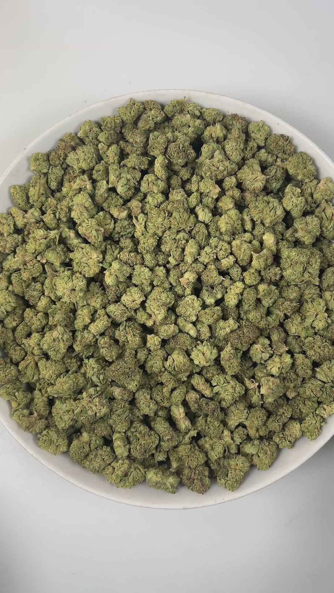 PUFFY Jelly Cake (smalls) is an indica-dominant hybrid THCa strain resulting from a masterful cross between Biscotti and Sunset Sherbet. The aroma is a luscious combination of creamy richness, ripe berries, and velvety vanilla. The buds are dense and chunky with deep green and purple hues, bright orange pistils, and a thick layer of sticky white trichomes. Consumers frequently describe a euphoric mental uplift that slowly transitions into soothing, full-body calm, often leaving them cheerful, mellow, and wi