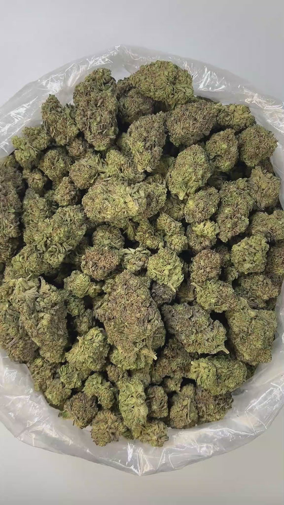 PUFFY Butter Pecan is a well-balanced hybrid THCa strain crafted from the potent cross of Blue Cream and GMO/TK Skunk. Its aroma is rich and indulgent, blending creamy, sweet, cake-like notes that evoke the scent of freshly baked desserts, warm, comforting, and irresistibly inviting. Visually, the buds are dense and vibrant green, occasionally tinged with purple, and covered in thick, creamy-white trichomes with striking dark orange hairs. Consumers often report a euphoric lift accompanied by relaxed muscle